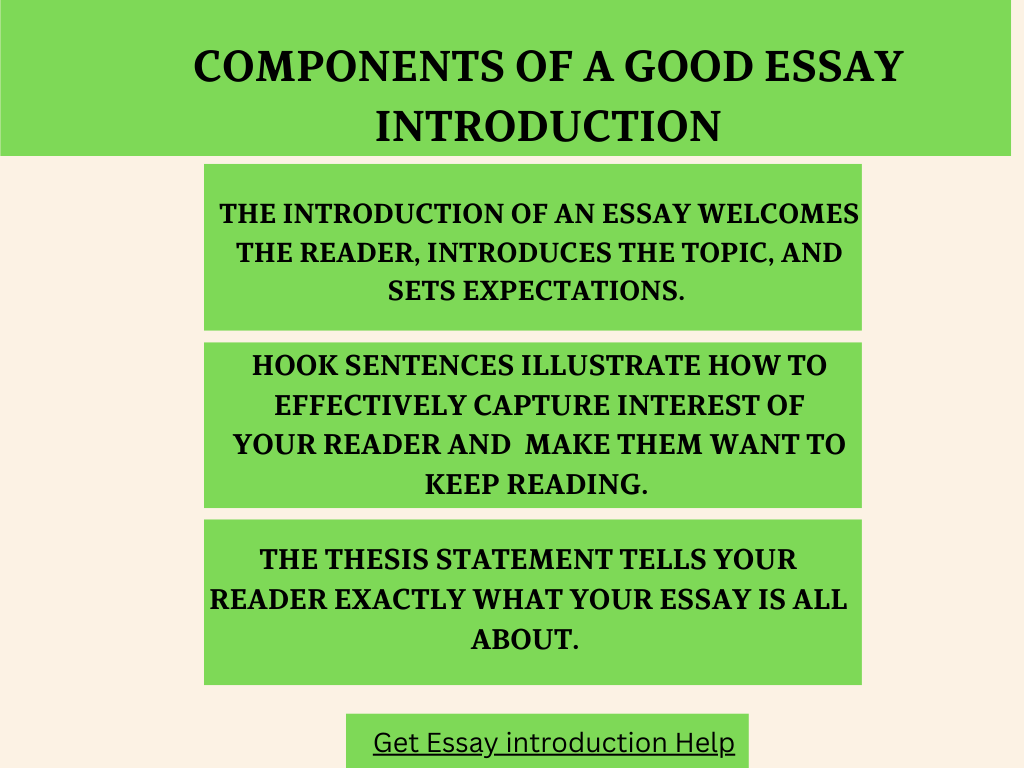 a-2024-guide-on-how-to-structure-an-academic-essay-1.png