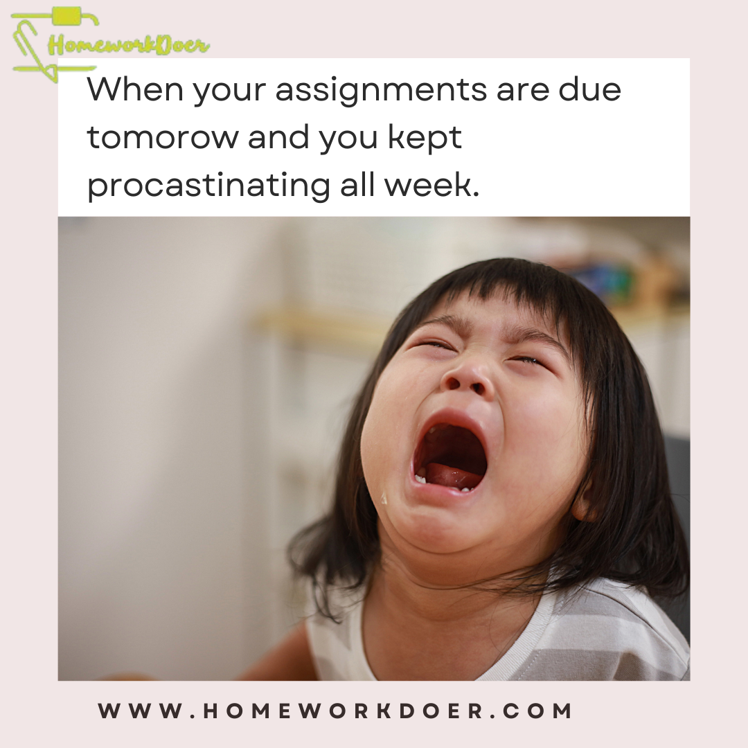 finish-homework-fast-expert-help-for-students-4.png